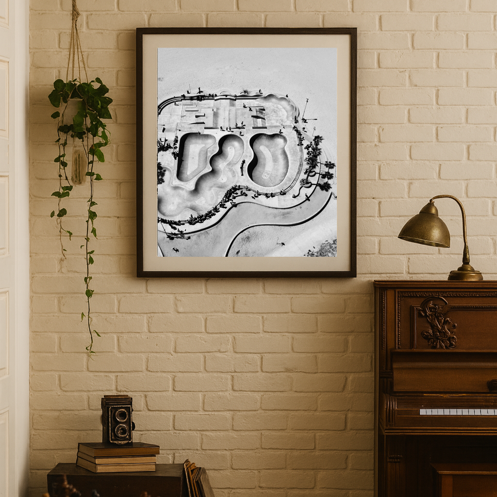 Venice Skate Plaza CA - Limited - B+W