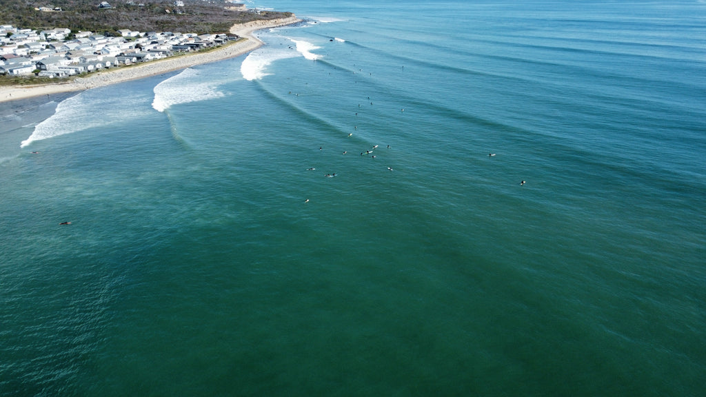 Ditch Rolling Waves - Limited